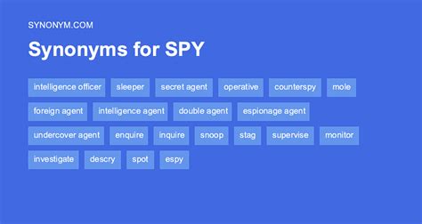 spied synonym|another word for speed.